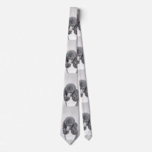 Standard Poodle Black Parti Painting - Dog Art Krawatte