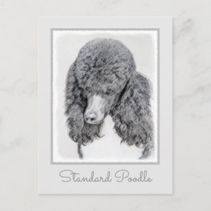 Standard Poodle Black Parti Painting - Dog Art Postkarte