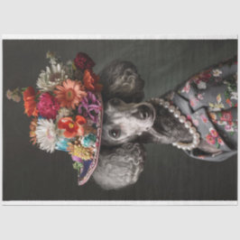 Standard Poodle of High Society Decoupage Seidenpapier