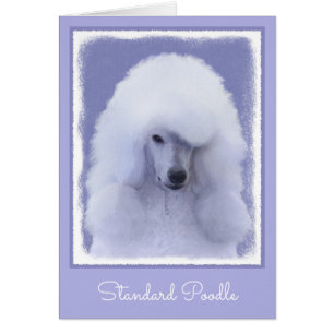 Standard Poodle White Painting - Original Dog Art