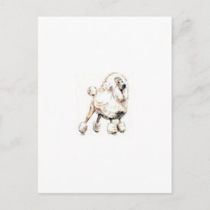 Standard Poodle White Postkarte