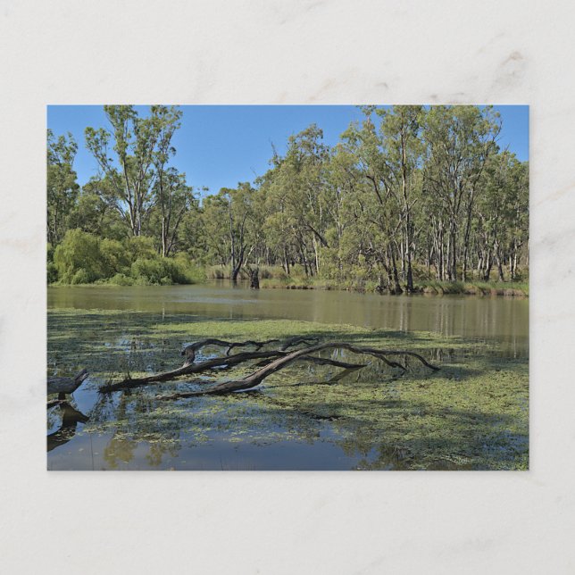 Standard postcard postkarte (Vorderseite)