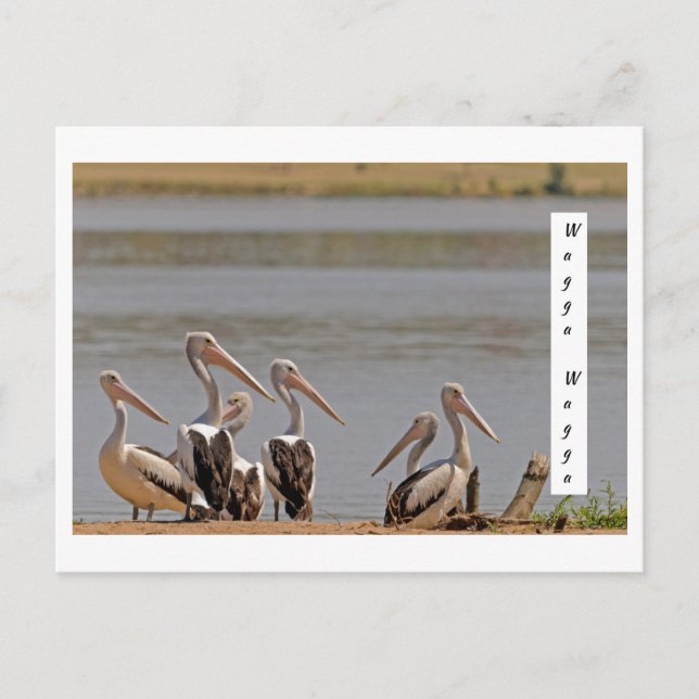 standard postkarte (Vorderseite)