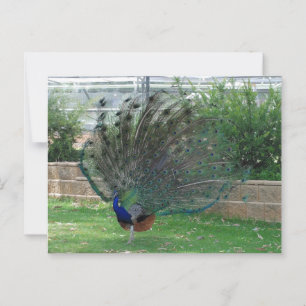 Standard Postkarte
