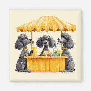 Standard Pudel Hunde betreiben einen Limonadenstan Magnet