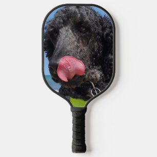 Standard Pudel Pickleball Schläger