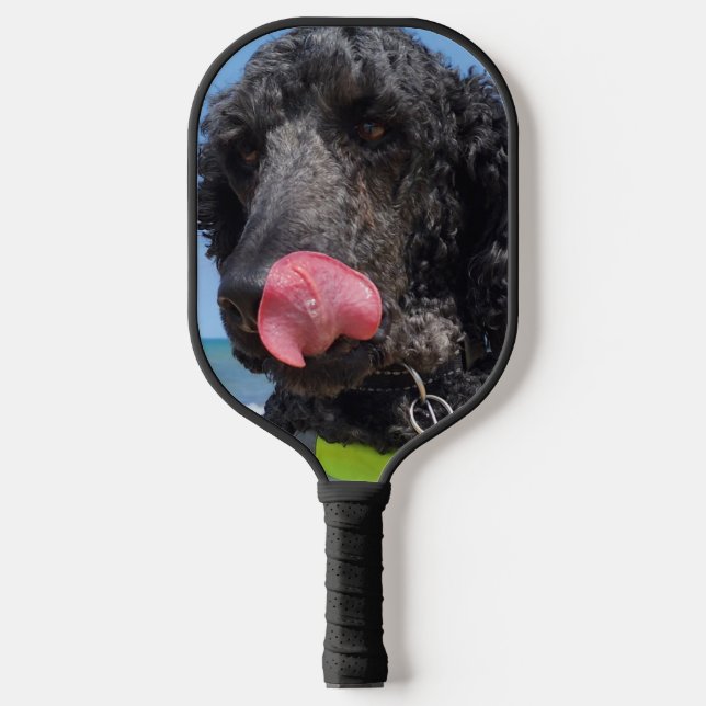 Standard Pudel Pickleball Schläger (Vorderseite)