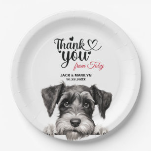 Standard Schnauzer Pappteller
