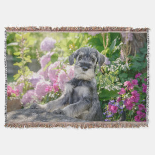 Standard Schnauzer Welpe im blühenden Garten - Decke
