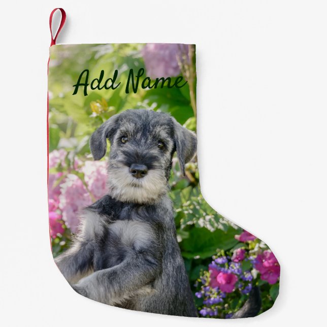 Standard Schnauzer Welpe im blühenden Garten - Kleiner Weihnachtsstrumpf (Vorderseite)