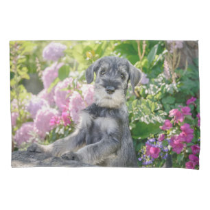 Standard Schnauzer Welpe in einem blühenden Garte Kissenbezug