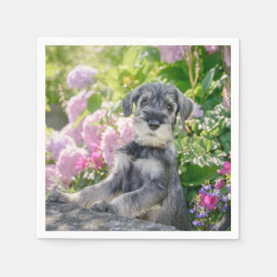 Standard Schnauzer Welpe in einem blühenden Garte Serviette