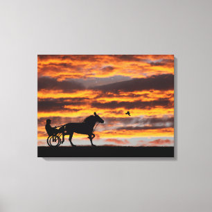 Standard Trotting Racehorse Canvas Print Leinwanddruck