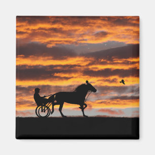 Standard, Trotting Racehorse Magnet