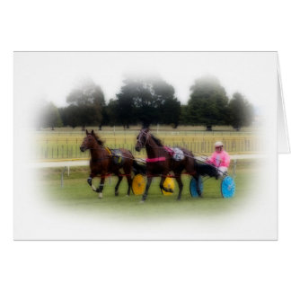 Standardbreds an der Rennbahn