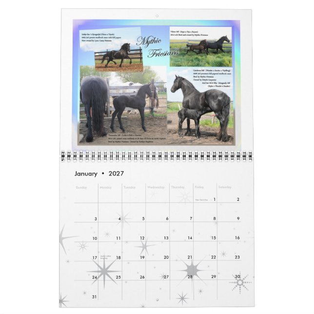 Standardgröße des friesischen PferdeFotos Kalender (Jan 2027)
