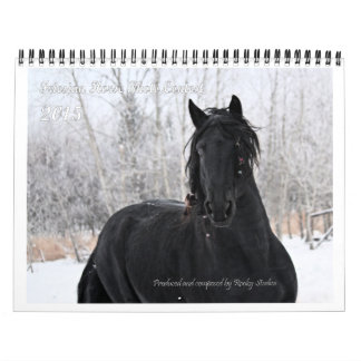 Standardgröße des friesischen PferdeFotos Kalender