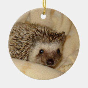 StandardIgelsgesichtsverzierung Keramik Ornament