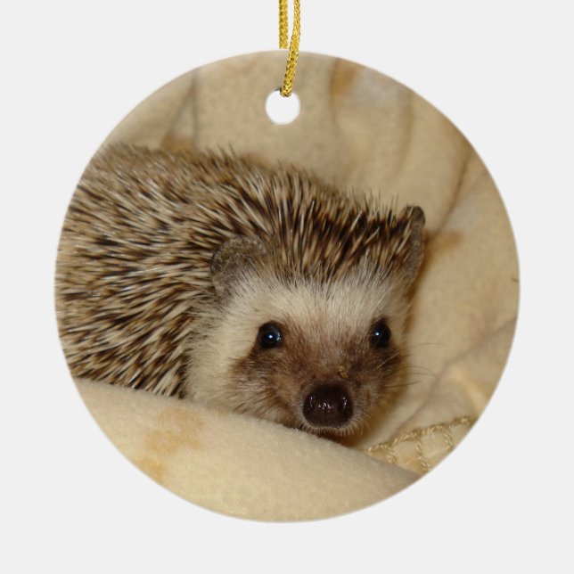StandardIgelsgesichtsverzierung Keramik Ornament (Vorne)