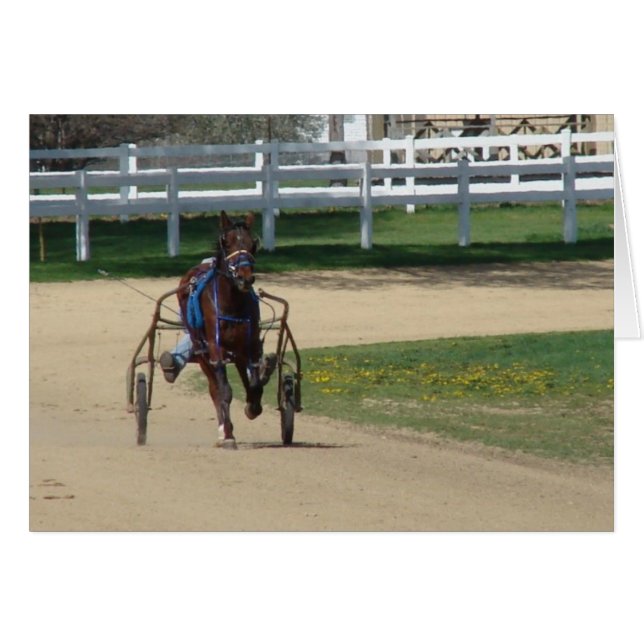 Standardisiert (Vorderseite (Horizontal))