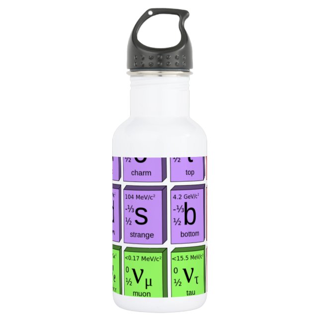 Standardmodell der Elementarteilchen Trinkflasche (Vorderseite)