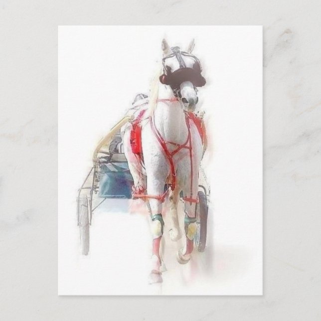 Standardpferd Postkarte (Vorderseite)