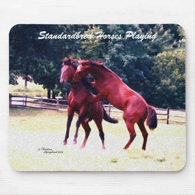 Standardpferde bei Mousepad (Vorne)