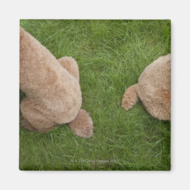 Standardpoodle Magnet (Vorne)