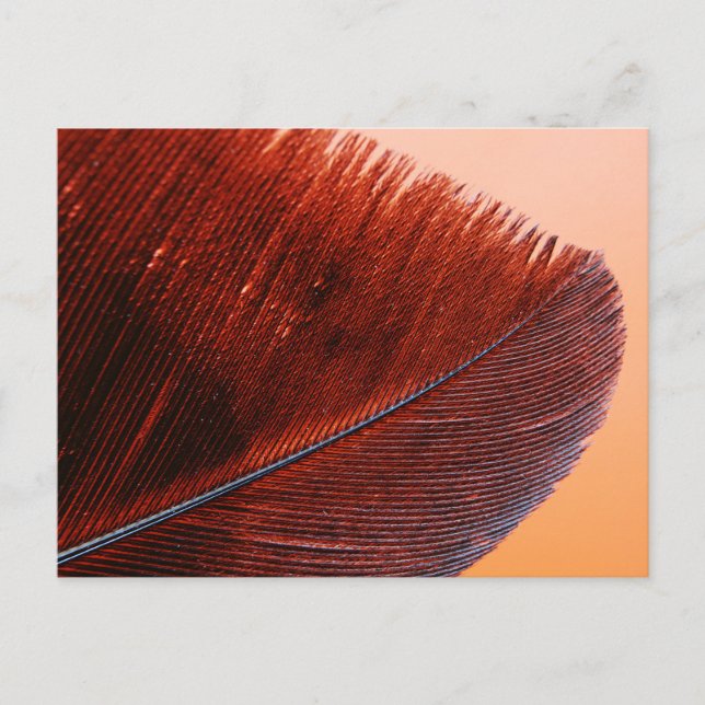 Standardpostkarte Postkarte (Vorderseite)