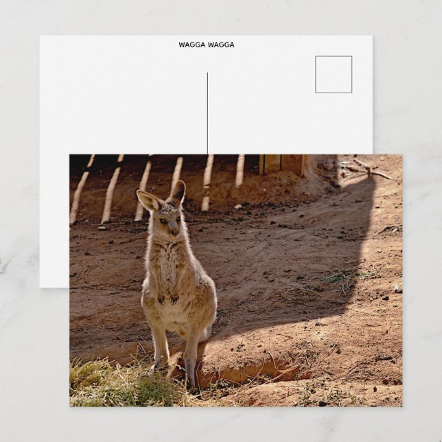 Standardpostkarte Postkarte (Vorne/Hinten)