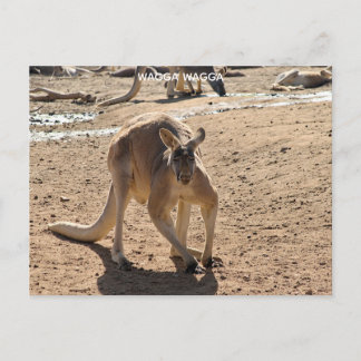 Standardpostkarte Postkarte