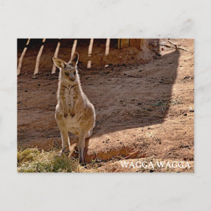 Standardpostkarte Postkarte