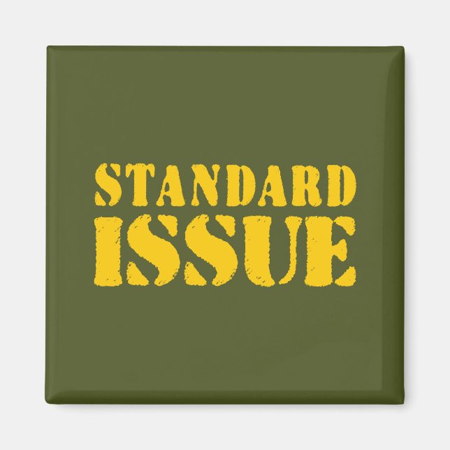 STANDARDPROBLEME MAGNET (Vorne)