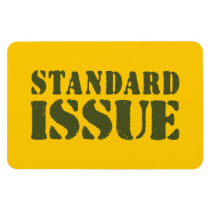 STANDARDPROBLEME MAGNET