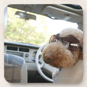 Standardpudel 3 untersetzer