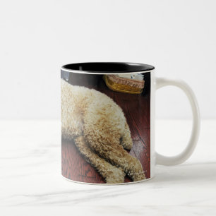Standardpudel, der auf Boden schläft Zweifarbige Tasse