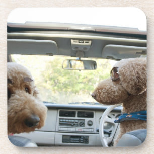 Standardpudel Getränkeuntersetzer