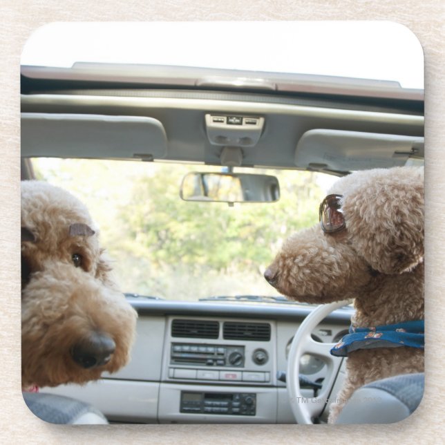 Standardpudel Getränkeuntersetzer (Vorderseite)