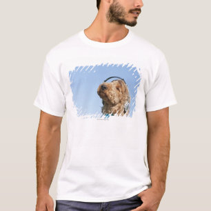 Standardpudel T-Shirt