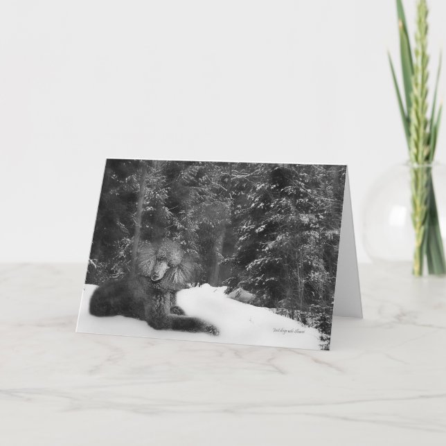 Standardpudelkarte Feiertagskarte (Vorderseite)