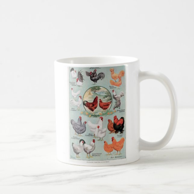 Standardsorten von Hühnern Kaffeetasse (Rechts)