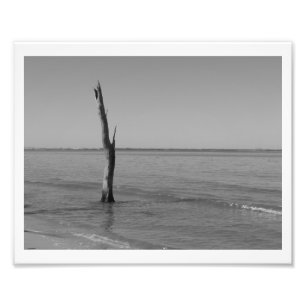 Stände allein fotodruck