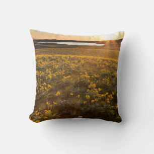 Ständer von Balsamroot-Wildblumen Kissen