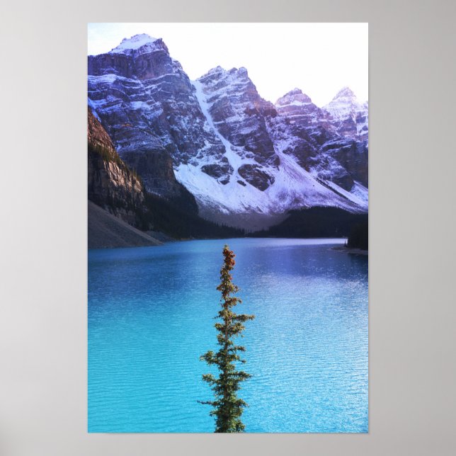 Standing Tall Poster (Vorne)