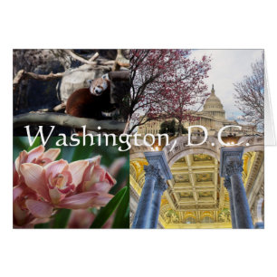Standorte in Washington, D.C.