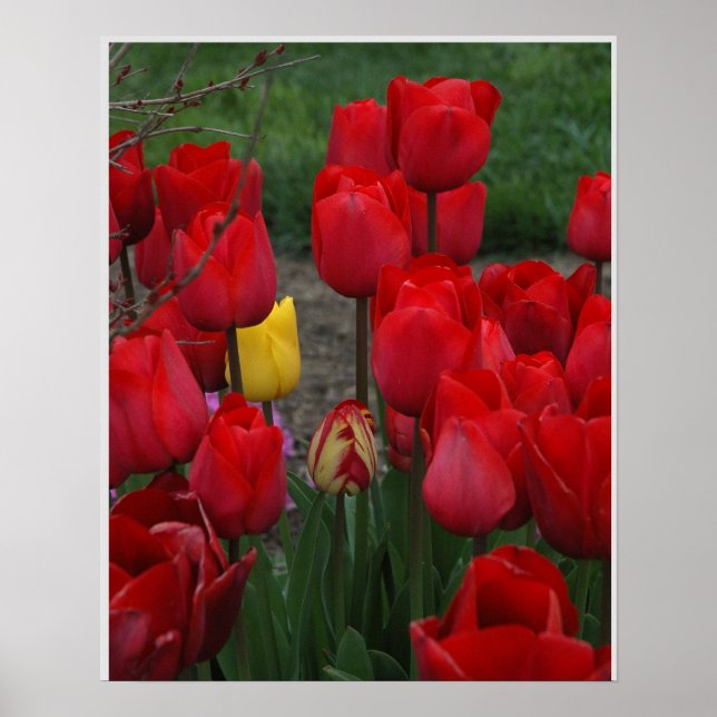 Standout Poster (Vorne)