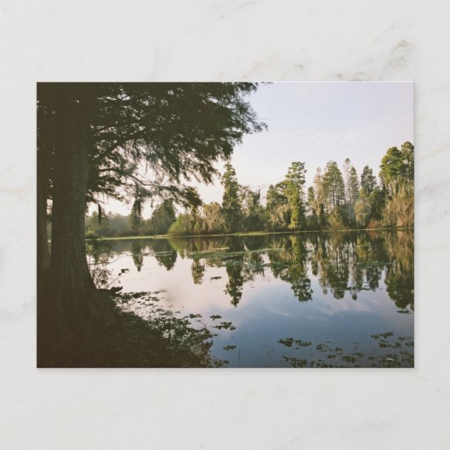 Standwasser-Postkarte Postkarte (Vorderseite)