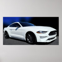 "STANG CAR POSTER