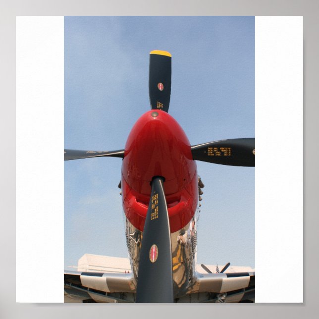 "Stang" Poster (Vorne)