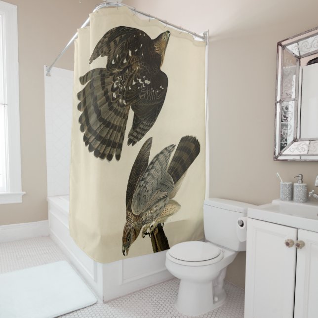 Stanley (Cooper's) Hawk Audubons Vögel von Amerika Duschvorhang (Beispiel)